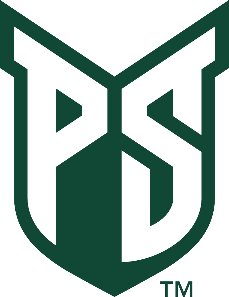 Portland State Vikings 2016-Pres Primary Logo iron on transfers for T-shirts